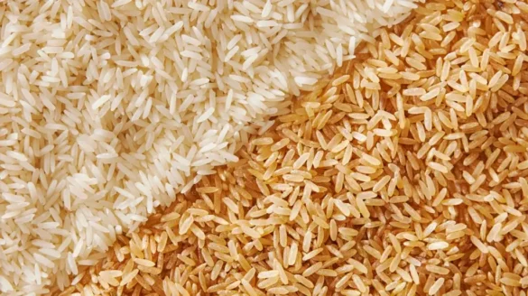 Compare white and brown rice