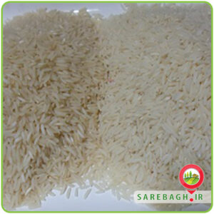white rice vs brown