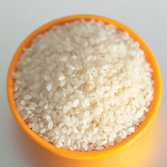 Short grain rice