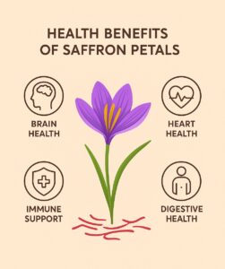 گلبرگ زعفران: طلای بنفش فراموش شده! 5 خواص بالقوه گلبرگ زعفران برای سلامت
